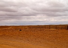 From Alice to Adelaide 010.jpg
