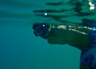 Diving_in_Coral_Bay_03.jpg