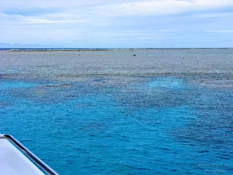 Grande Barriera Corallina 25