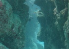Grande Barriera Corallina_129.jpg