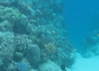 Grande Barriera Corallina_15.jpg