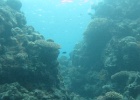 Grande Barriera Corallina_162.jpg