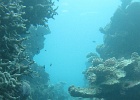 Grande Barriera Corallina_163.jpg