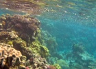 Grande Barriera Corallina_176.jpg