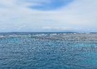 Grande Barriera Corallina_24.jpg