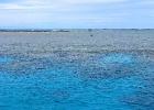 Grande Barriera Corallina_25.jpg