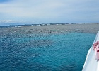 Grande Barriera Corallina_26.jpg